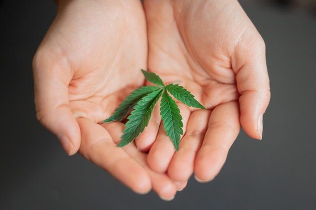 medical cannabis treatments